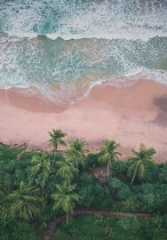 Manage My Booking - tile