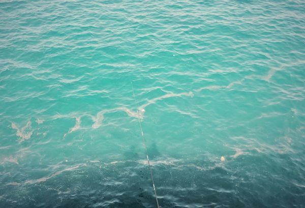 beautiful waters in lebanon - Image