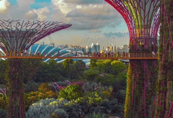 Muslim honeymoons in SIngapore - Image