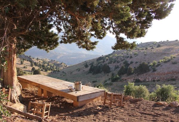 adventures in halal friendly lebanon - Image