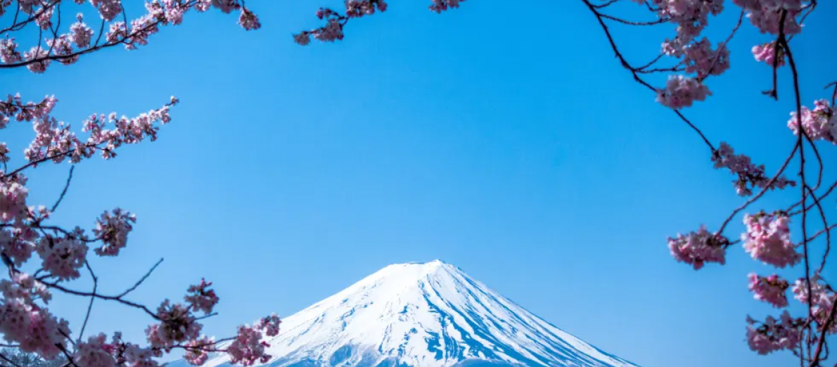 halal hotels in japan