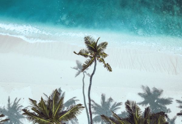 Aerial view of white beaches - Image