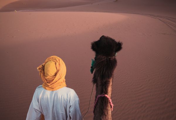 Desert adventures in Morocco - Image