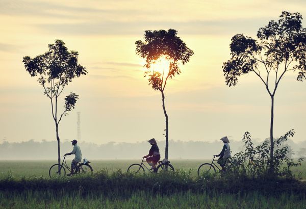 Explore scenic Indonesia by bike Rural halal friendly Indonesia by bike - Image