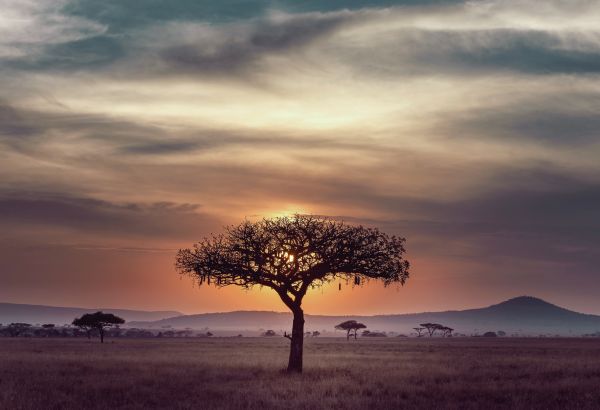 South Africa Landscape Enjoy the scenery of halal friendly South Africa - Image