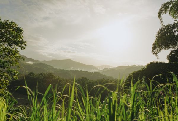 Nature and Eco Touring in Jamaica - Image