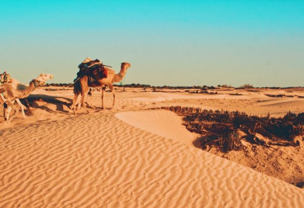 adventures await in halal friendly tunisia - Image