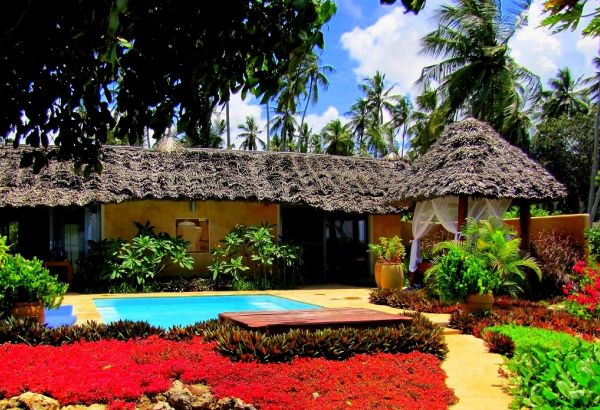 Villa-pool-africa-tanzania-Exterior - Image