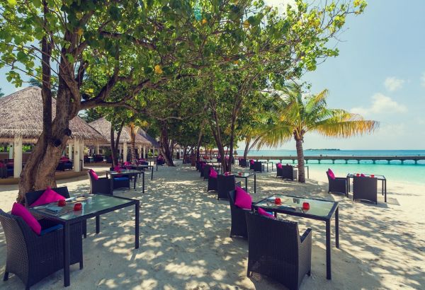 Well-halal-done-Dining-hotel-Area - Image
